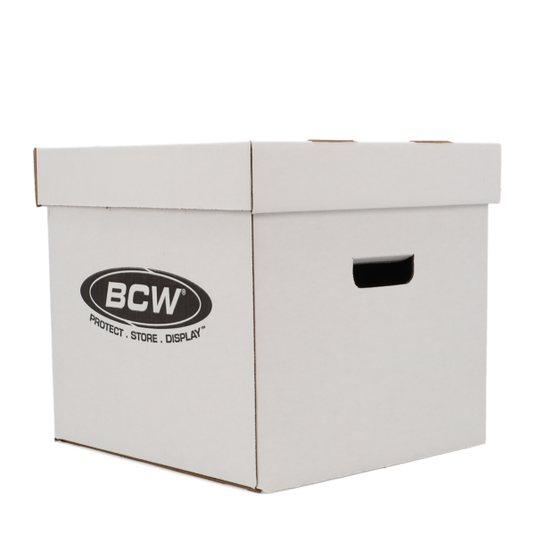 33 RPM STORAGE BOX
