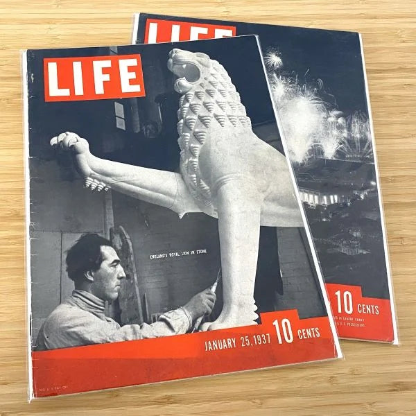 Load image into Gallery viewer, RESEALABLE &quot;LIFE&quot; MAGAZINE BAGS - 11 1/8 X 14 1/4
